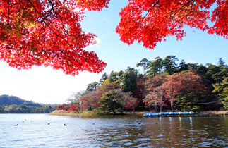福島県-南湖公園